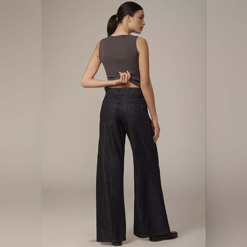 Anthropologie Adi Mid-Rise Frayed Relaxed Flare Pants by Pilcro: Sparkle Edition - Picture 4 of 8